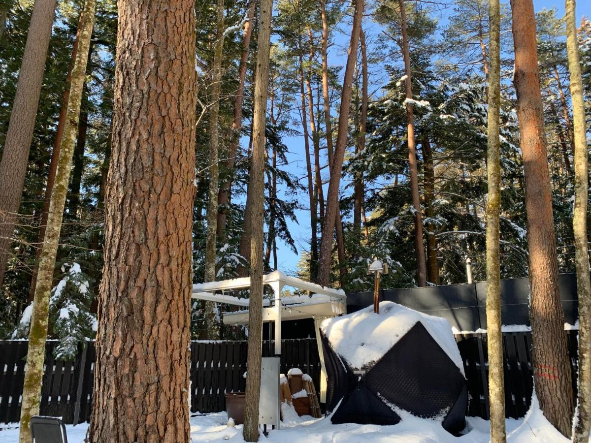Fuji Fumoto Forest Hotspring ふもとの森温泉 Fudzsikavagucsiko Kültér fotó