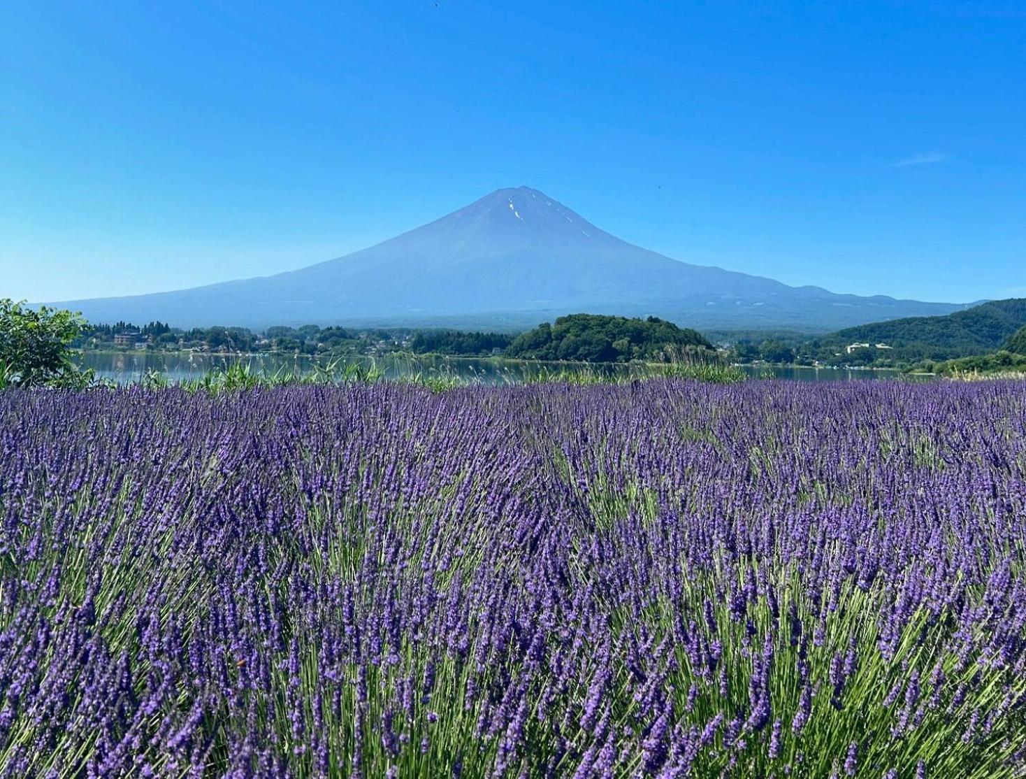 Fuji Fumoto Forest Hotspring ふもとの森温泉 Fudzsikavagucsiko Kültér fotó