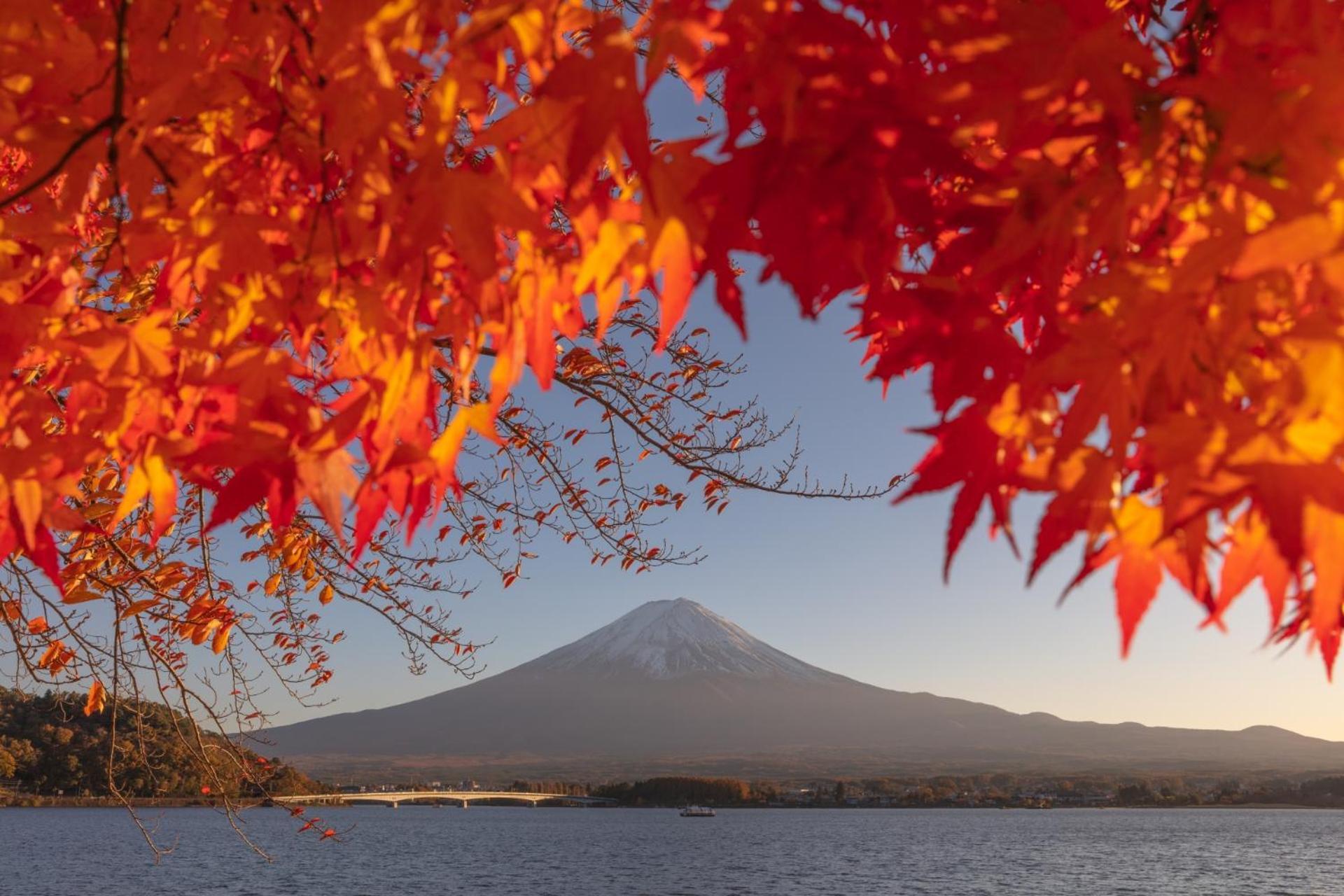 Fuji Fumoto Forest Hotspring ふもとの森温泉 Fudzsikavagucsiko Kültér fotó